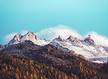 hth赛事公司-惨案源于放弃！上港这一败如此窝囊 拿0比4去争冠？